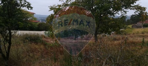 4 bedrooms House in Pombal, Portugal No. 186636 3