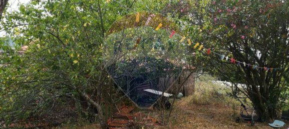 4 bedrooms House in Pombal, Portugal No. 186636 4