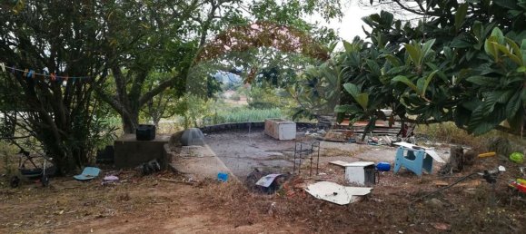 4 bedrooms House in Pombal, Portugal No. 186636 5