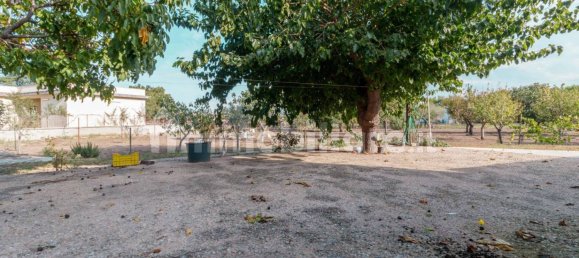 4 bedrooms House in Lucera, Italy No. 66899 6