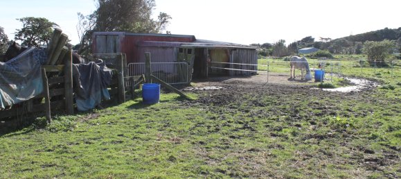 قطعة أرض في Otaki Beach, New Zealand 26300متر مربع رقم 28 5