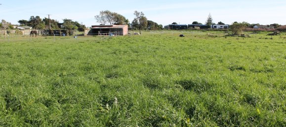 قطعة أرض في Otaki Beach, New Zealand 26300متر مربع رقم 28 7