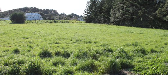 قطعة أرض في Otaki Beach, New Zealand 26300متر مربع رقم 28 2