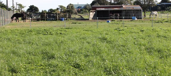 قطعة أرض في Otaki Beach, New Zealand 26300متر مربع رقم 28 4