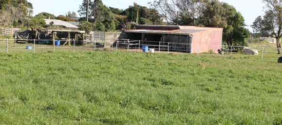 قطعة أرض في Otaki Beach, New Zealand 26300متر مربع رقم 28 3