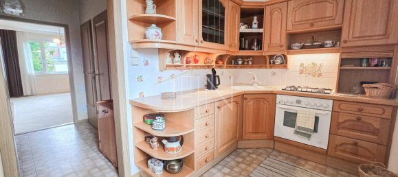 2 rooms Apartment in Langenzersdorf, Austria No. 240137 3