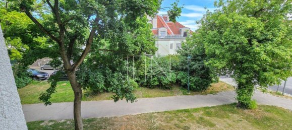 2 rooms Apartment in Langenzersdorf, Austria No. 240137 2