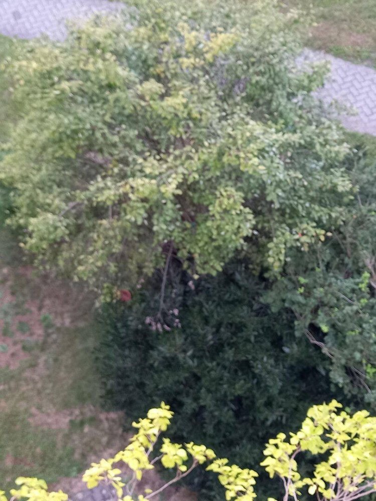 1 bedroom Apartment in Nuremberg, Germany No. 266442