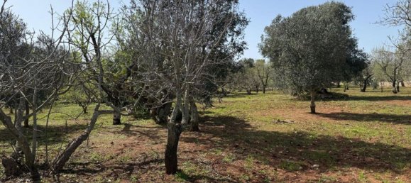 3 rooms House in Ceglie Messapica, Italy No. 156411 19