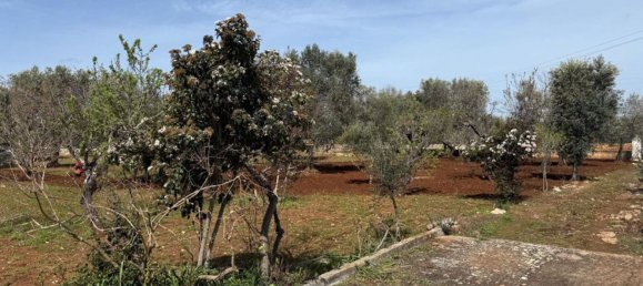 3 rooms House in Ceglie Messapica, Italy No. 156411 18