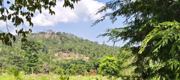 Land in Ko Samui, Thailand No. 26891 5