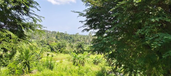 Land in Ko Samui, Thailand No. 26891 6