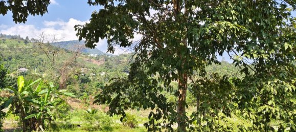 Land in Ko Samui, Thailand No. 26891 4