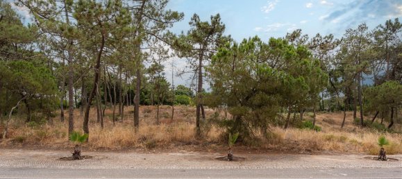 410m² Land in Grandola, Portugal No. 140607 3