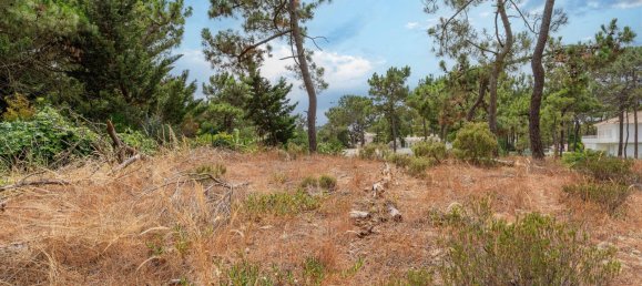 410m² Land in Grandola, Portugal No. 140607 11