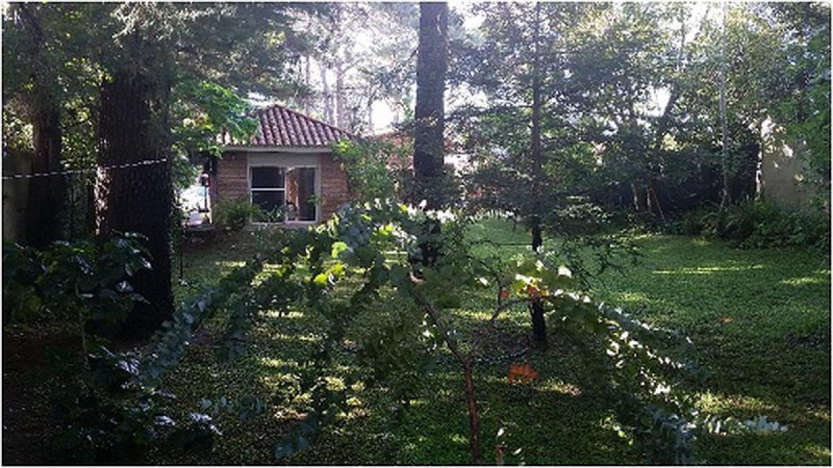 3 bedrooms House in Maldonado, Uruguay No. 8761