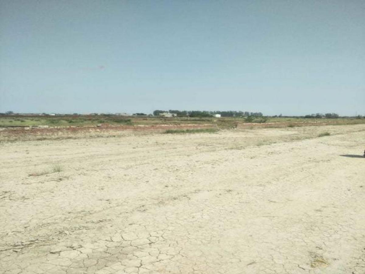 Земельный участок в Нойда, Индия № 66147