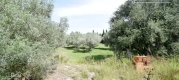 4 bedrooms House in Nules, Spain No. 129430 27