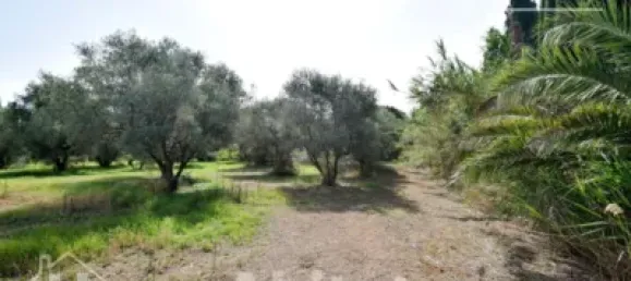 4 bedrooms House in Nules, Spain No. 129430 55