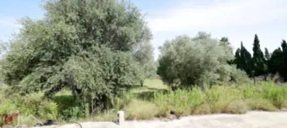 4 bedrooms House in Nules, Spain No. 129430 37