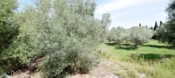 4 bedrooms House in Nules, Spain No. 129430 54