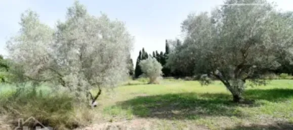 4 bedrooms House in Nules, Spain No. 129430 5