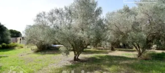 4 bedrooms House in Nules, Spain No. 129430 46