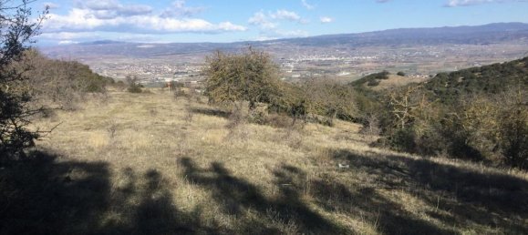 6500m² Hotel in Chortiatis, Greece No. 5905 5