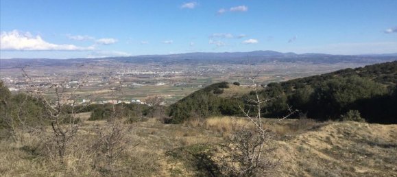 6500m² Hotel in Chortiatis, Greece No. 5905 2