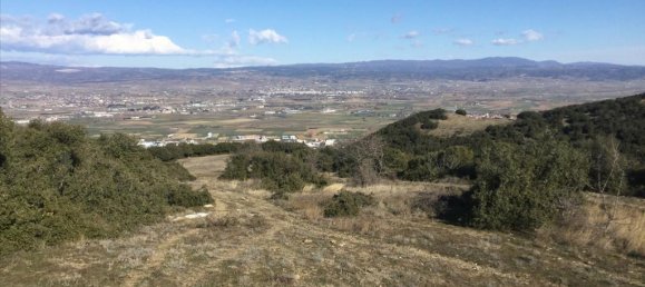 6500m² Hotel in Chortiatis, Greece No. 5905 4