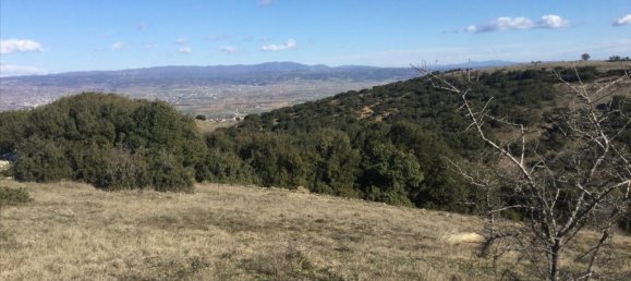 6500m² Hotel in Chortiatis, Greece No. 5905 3