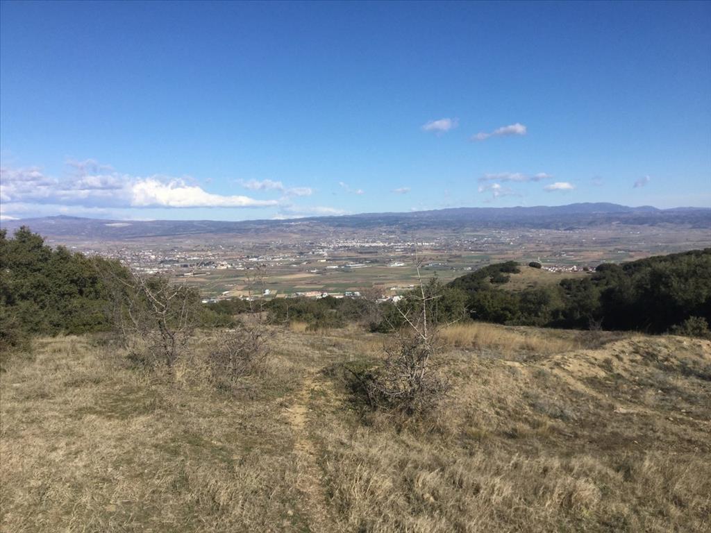 6500m² Hotel in Chortiatis, Greece No. 5905