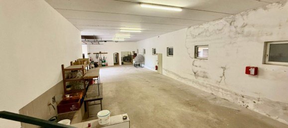 13-Zimmer Haus in Sierndorf, Austria, Nr. 245233 8