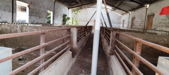 3 Schlafzimmer Haus in Lorca, Spain, Nr. 165169 15