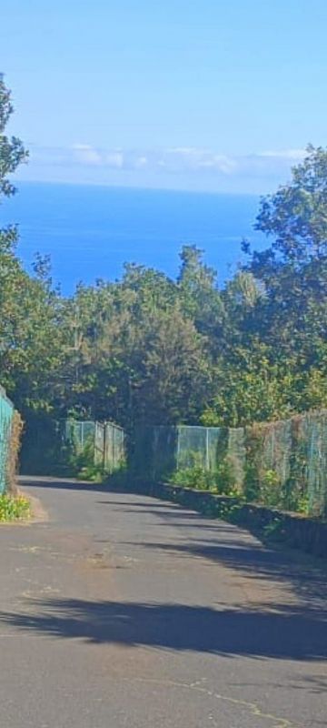 9372m² Land in Tenerife, Spain No. 244090