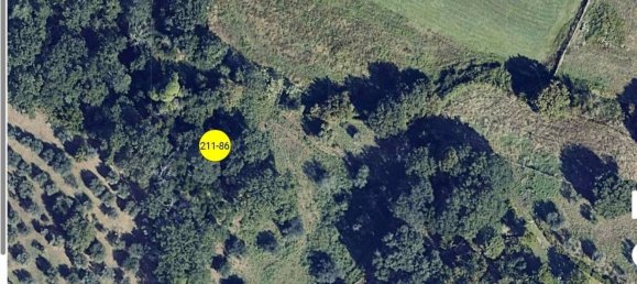  قطعة أرض في Viterbo, Italy 30000متر مربع رقم 306611 12