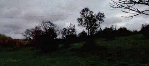  قطعة أرض في Viterbo, Italy 30000متر مربع رقم 306611 3