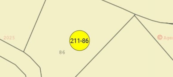  قطعة أرض في Viterbo, Italy 30000متر مربع رقم 306611 13