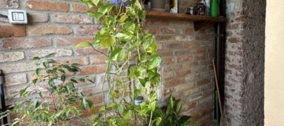 3 rooms Apartment in Livorno Ferraris, Italy No. 51301 9