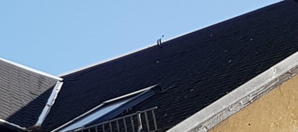 2 bedrooms House in Bautzen, Germany No. 328789 5