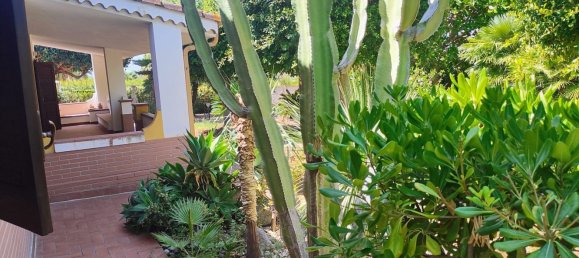 Villa T5 em Ricadi, Italy N.º 317256 12