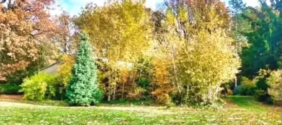 3 chambres Maison à Leipzig, Germany No. 307130 68