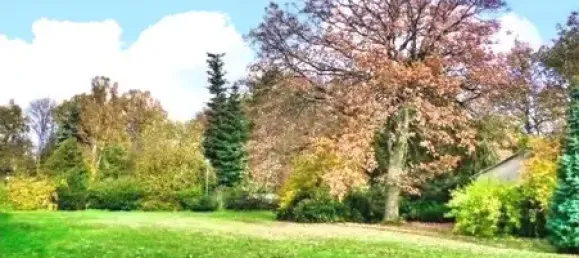 3 chambres Maison à Leipzig, Germany No. 307130 69