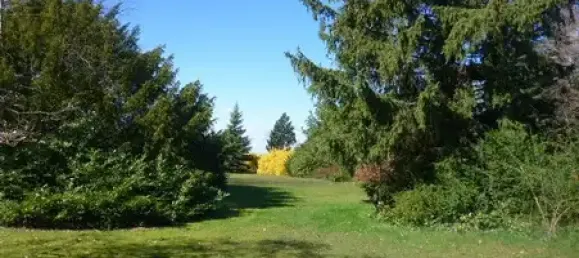 3 chambres Maison à Leipzig, Germany No. 307130 18