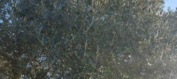 Casa de 5 divisões em Borgonovo Val Tidone, Italy N.º 33121 4