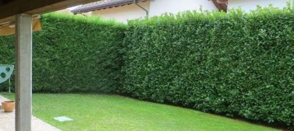 Дом с 3 комнатами в Кольяте, Италия № 3656 6