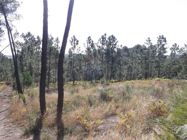 Grundstück in Viseu, Portugal 8715m², Nr. 51647