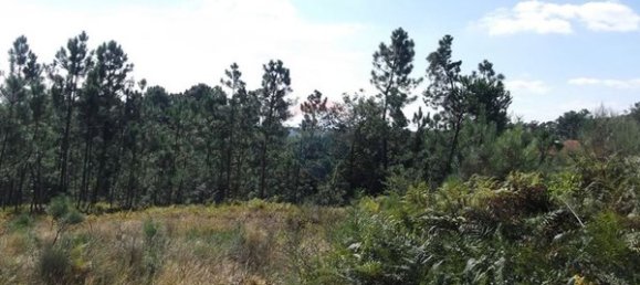 Grundstück in Viseu, Portugal 8715m², Nr. 51647 3