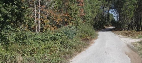 Grundstück in Viseu, Portugal 8715m², Nr. 51647 5