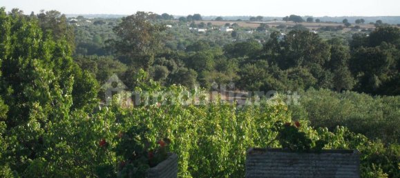 Дом с 3 спальнями в Монополи, Италия № 371118 48